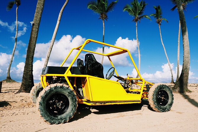 Buggy Adventure: Macao Beach & Cenote Experience - Macao Beach: why the ride ends here