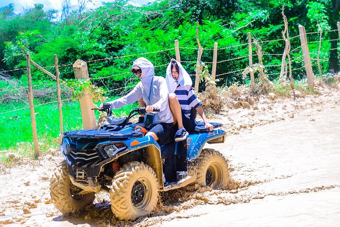 Buggy Adventure: Macao Beach & Cenote Experience - Price and value: is $60 a smart deal for 4 hours?