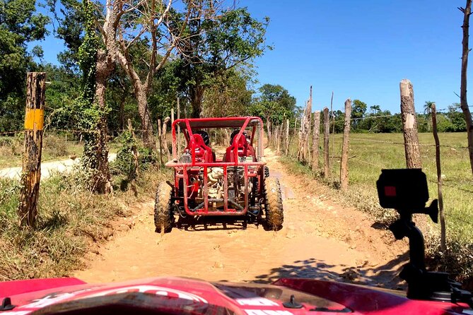 Buggy Adventure: Macao Beach & Cenote Experience - Should you book the Buggy Adventure: Macao Beach & Cenote?