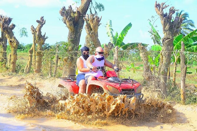 Buggy Adventures , ATV and Terra cross. Indian cave, Macao beach - Plantation Flavor Stops: Coffee, Mamajuana, and Local Produce Taste