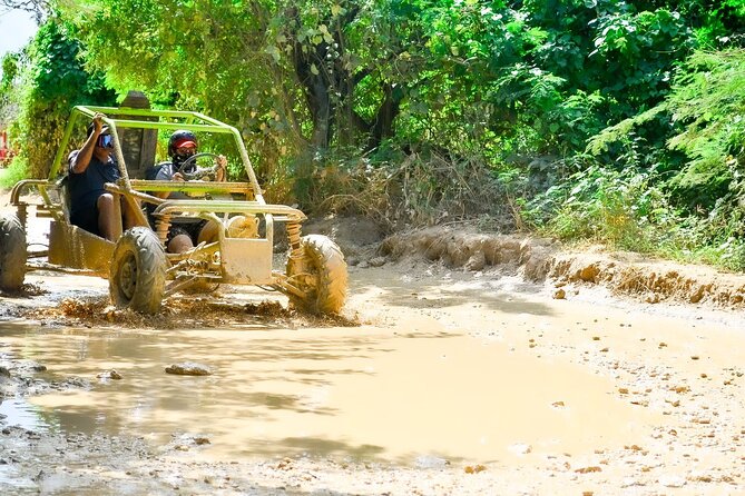 Buggy and ATV Adventure Without Limits in Punta Cana - Typical house stop with cocoa, chocolate, and Mama Juana