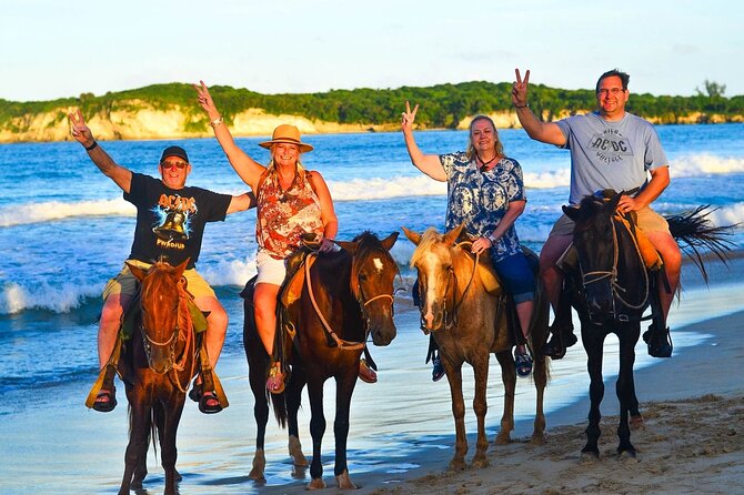 Buggy, horse and plantation ranch - Who should book this ranch-and-horse combo