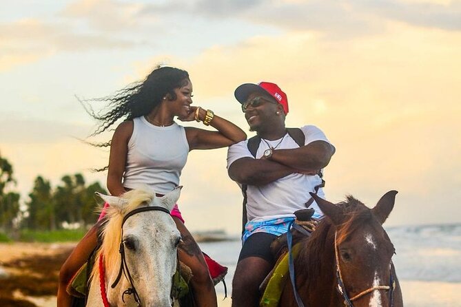 Buggy, horse and plantation ranch - FAQ