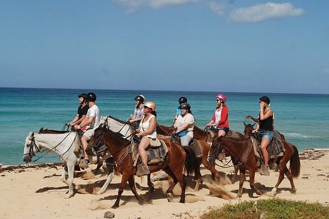 Buggy Horses and Zip Line from Punta Cana with Lunch Included - The day’s rhythm: 7:30 am start and about 6 hours
