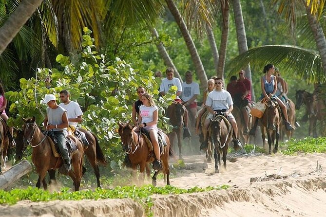 Buggy Horses and Zip Line from Punta Cana with Lunch Included - Price and value: is $95 worth it?
