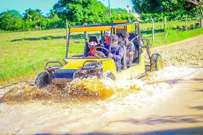Buggy Off-Road Adventure in Punta Cana – Mud & Beach Fun - Key points I’d bank on before you go