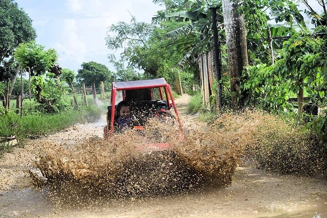 Buggy Off-Roading with Chocolate and Coffee Tasting in Punta Cana - Chocolate, coffee, and Mamajuana tastings: what’s included and why it matters