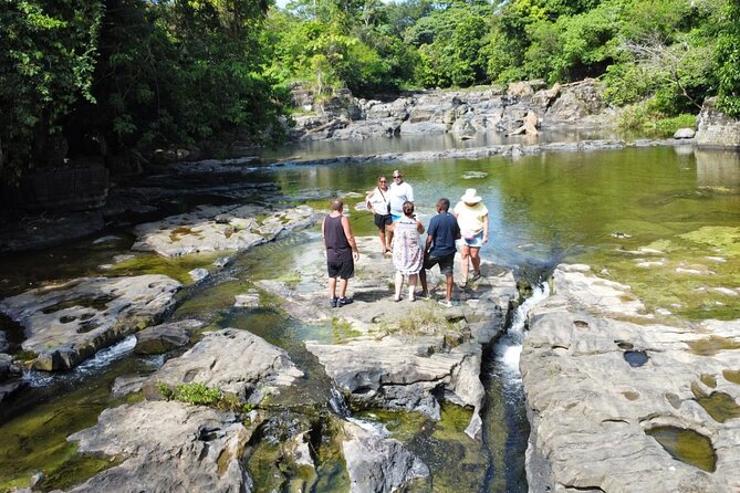 Buggy Ride, Horseback, Zipline,Eco Farm,Macao Beach - Horseback riding on natural paths: scenic pace, shorter than you may hope