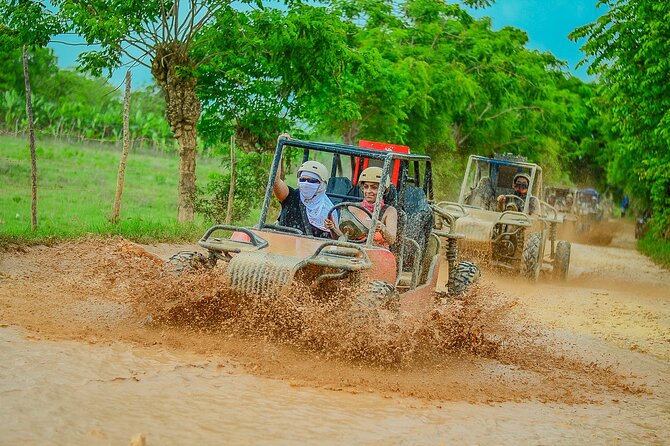 Buggy Ride Into the jungle with cave coffee & chocolate tasting - The Jungle Backroads and Cave Swim: The Part You’ll Talk About