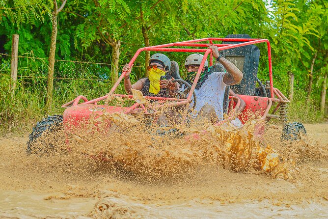 Buggy Ride Into the jungle with cave coffee & chocolate tasting - Price and Value: What $53 Buys You in Punta Cana
