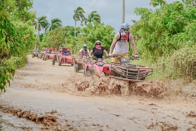 Buggy Ride Into the jungle with cave coffee & chocolate tasting - Ecological Farm Stops and the Chocolate/Coffee Tasting Reality Check