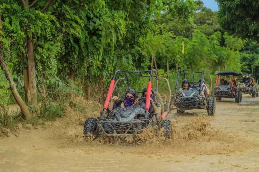 Buggy ride on rural routes and Macao Beach - Playa Macao: White Sand, Better Water, and a Real Break