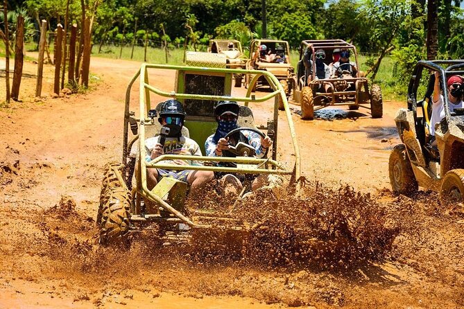 Buggy Tour around Macao Beach and Taino Cave with Transportation - The typical house tastings: coffee, cocoa, tobacco, and Mama Juana