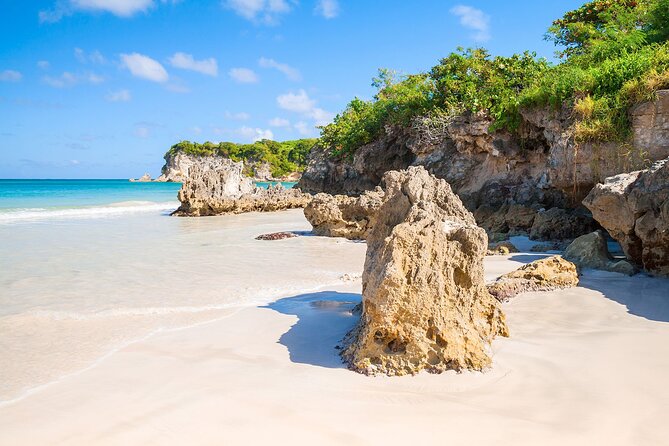 Buggy Tour of the Dominican Countryside + Beach and Local Culture - ATV vs buggy: choose based on comfort and mess tolerance