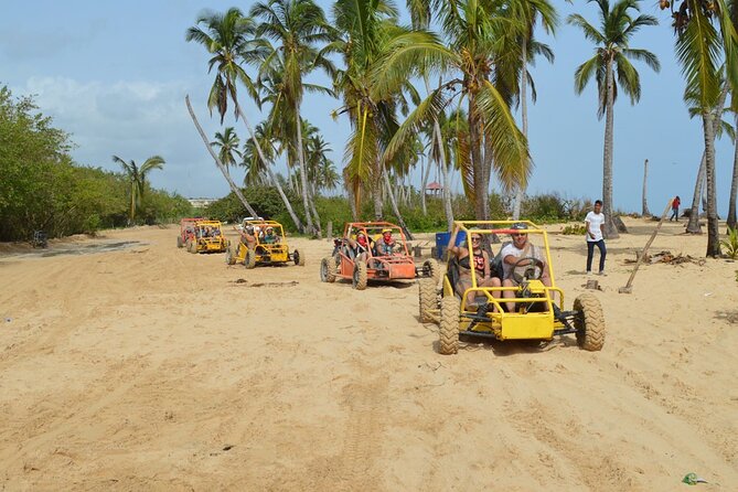 Buggy Tour Punta Cana Extreme Adventure - Bavaro Learning Stop: Cocoa, Coffee, Spices, and Local Processing