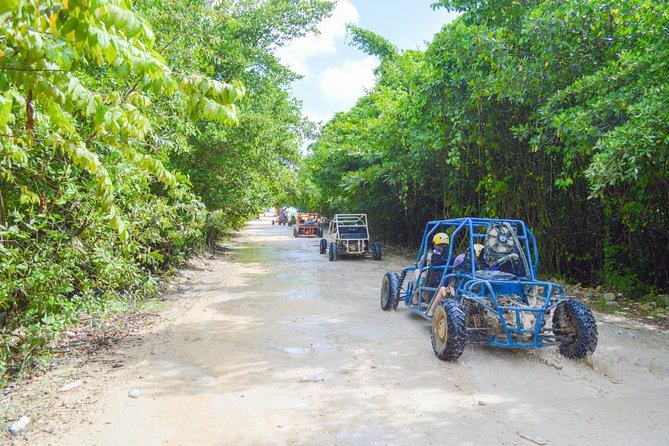 Buggys & Polaris -Best Way to Explore Punta Cana - The farm stop: crops you can taste and talk about