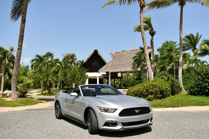 Cars for Rent in Punta Cana - Driving reality in Punta Cana: comfort with practical pacing