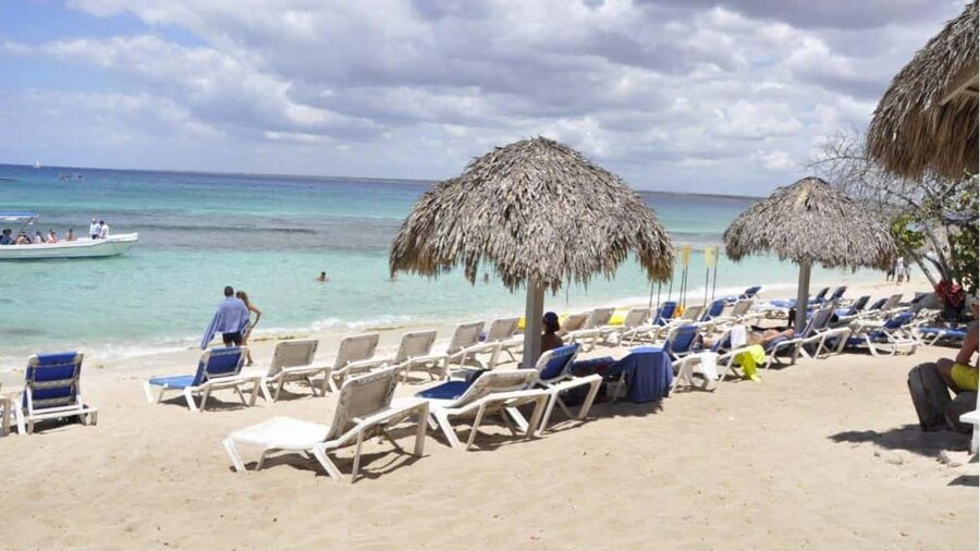Catalina Island: Day Trip - Best Snorkeling! - Planning Your Catalina Island Snorkeling Day from Bávaro