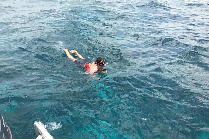 Catalina Island DayTrip + Great Snorkeling - Crew and Pace: The Human Touch That Makes It Feel Smooth
