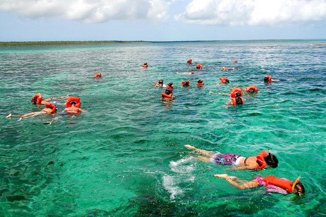 Catalina Island DayTrip + Great Snorkeling - Value Check: Does $90 Make Sense for Punta Cana?