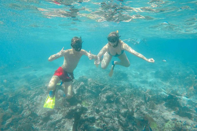 Catalina Island - Full Day All Inclusive Experience - Reef Wall Snorkeling at Catalina: What You’re Really Paying For