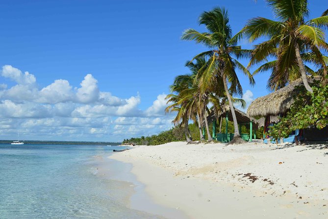Catalina Island - Full Day All Inclusive Experience - Getting From Punta Cana to La Romana: The Early-Start Sugarcane Drive