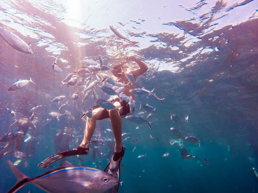 Catalina Island Full-Day Snorkeling + Lunch from Punta Cana - The Big Idea: Why This Tour Works
