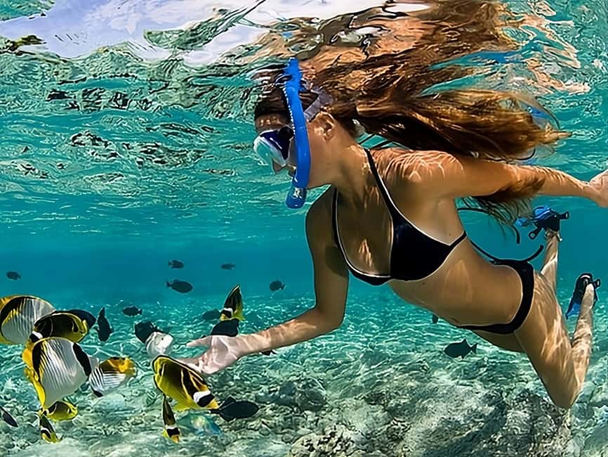 Catalina Island Full-Day Snorkeling + Lunch from Punta Cana - Snorkeling at Los Corales: Your Main Payoff