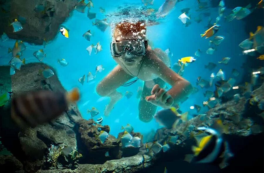 Catalina Island Full-Day Snorkeling + Lunch from Punta Cana - Getting Picked Up (Bávaro, Punta Cana, Uvero Alto): Morning Timing