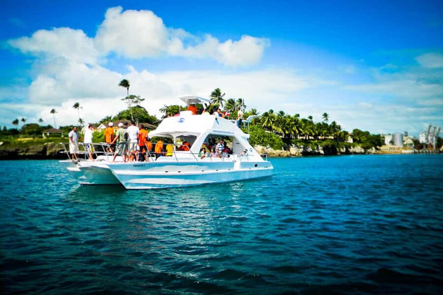 Catalina Island Scuba Diving Tour from Punta Cana - Key things to know before you go