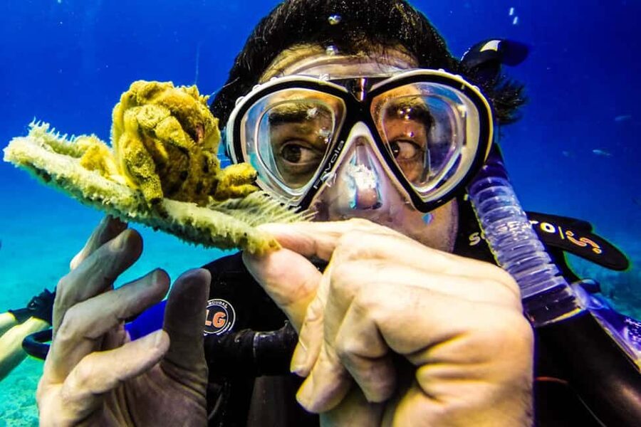 Catalina Island Scuba Diving Tour from Punta Cana - From Punta Cana to La Romana: the ride that sets the tone