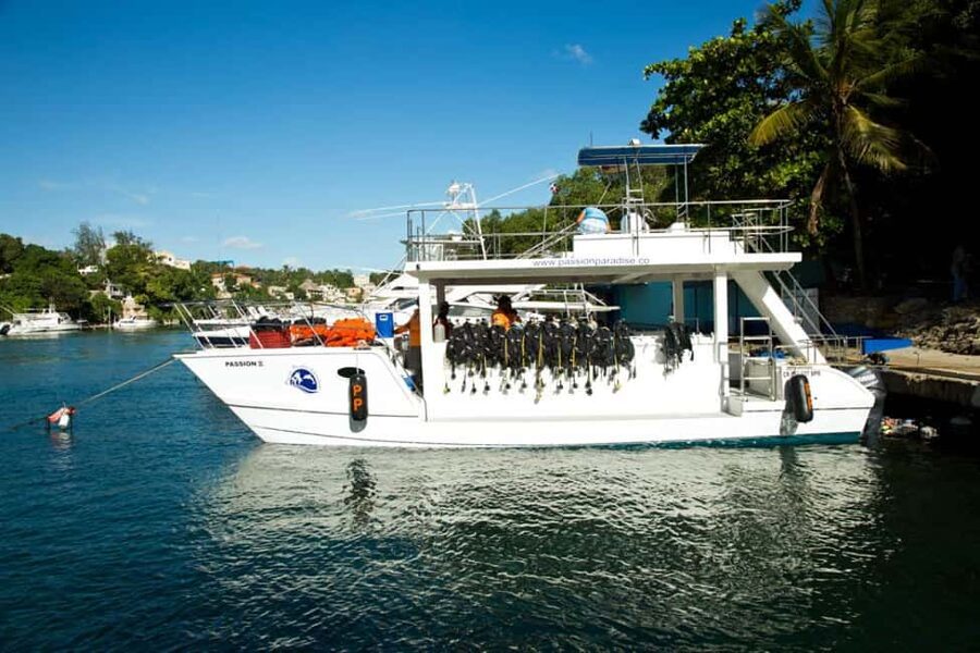 Catalina Island Scuba Diving Tour from Punta Cana - Catalina Island park day: the water, the gear, and the realities