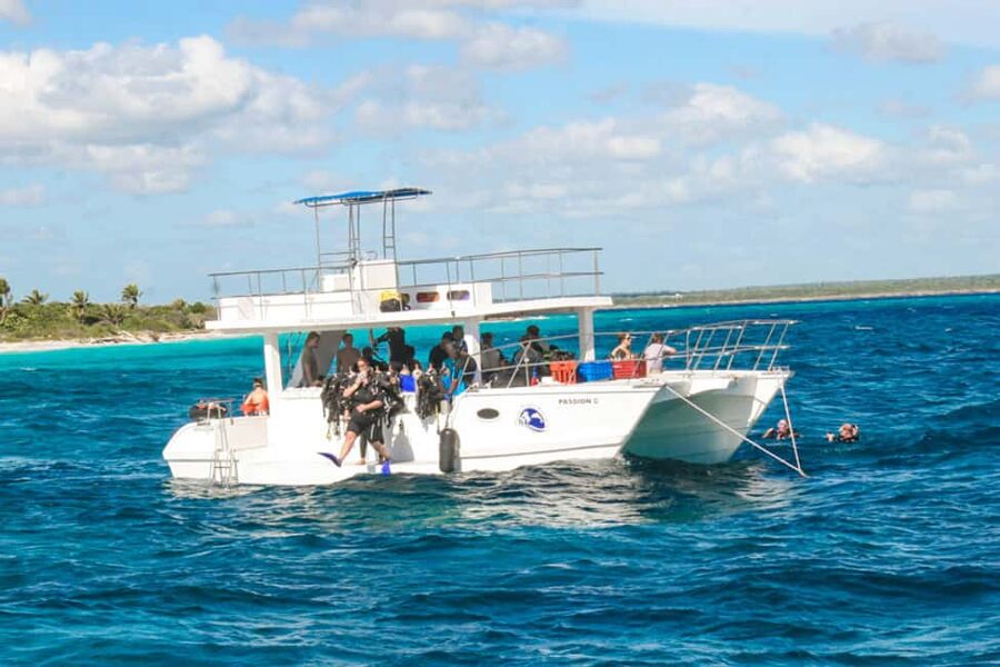 Catalina Island Scuba Diving Tour from Punta Cana - The Wall (east side): what you’re really looking for underwater