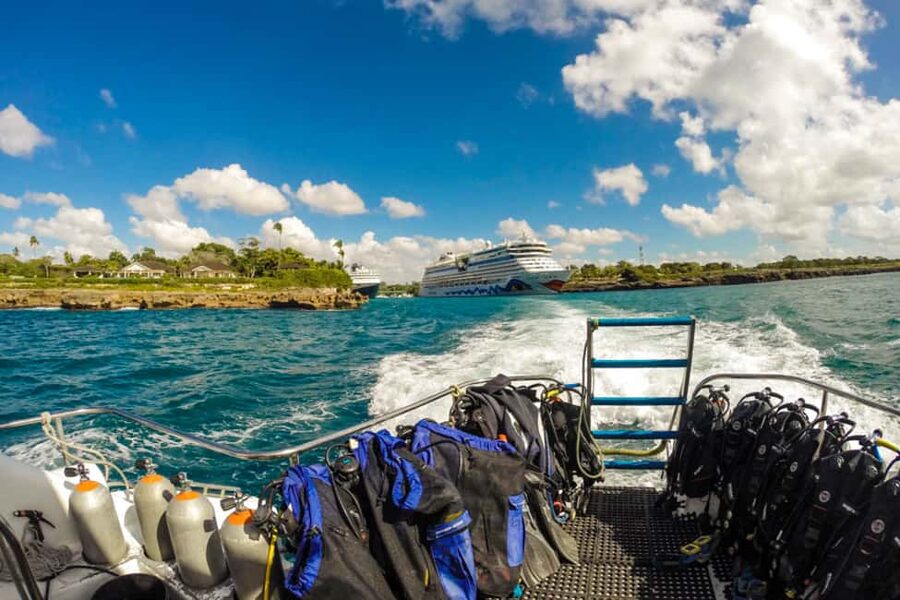 Catalina Island Scuba Diving Tour from Punta Cana - The Aquarium (west side): rays, fish, and the feeling of space