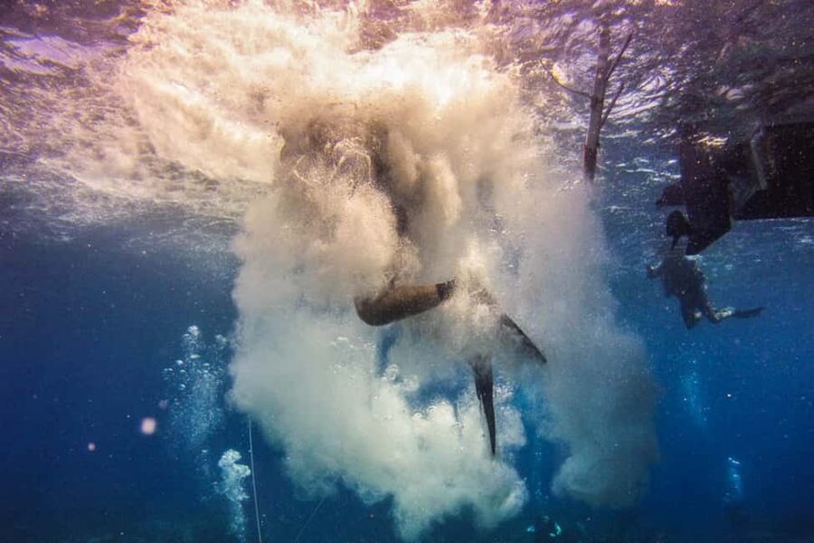 Catalina Island Scuba Diving Tour from Punta Cana - Snorkeling, free time, and pacing a long 9 hours