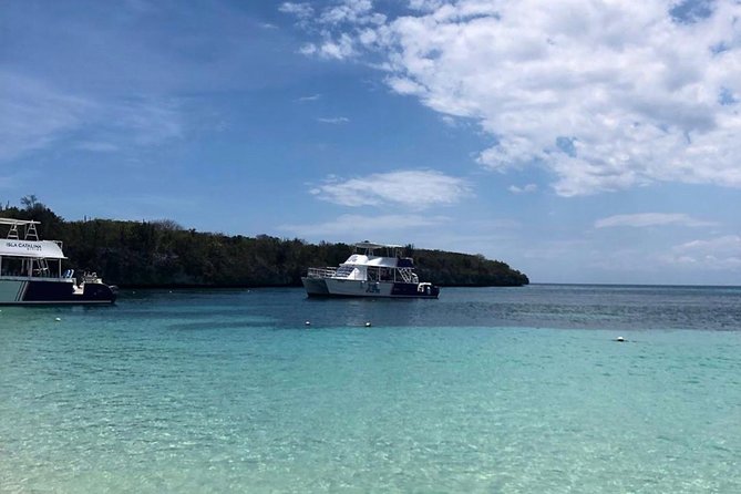 Catalina Island Snorkeling: Explore its Crystal Clear Waters - Price and value: does $71.25 add up?