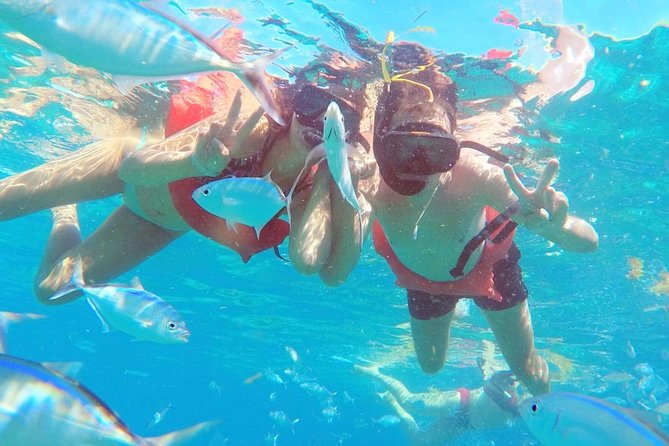 Catalina Island & Snorkeling Tour - Lunch, open bar, and the merengue/bachata break
