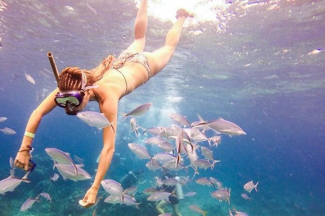 Catalina Island & Snorkling Tour Full Day All Inclusive - Punta Cana morning: catamaran vibes and the first gear-check