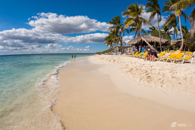 Catalina Island Tour - Why Catalina Island feels like a mini escape from Punta Cana
