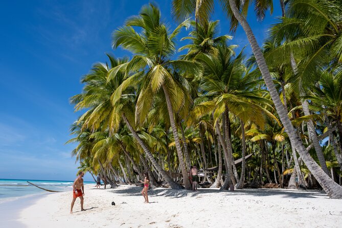 Catalina Sailing Experience in Punta Cana with Food and Drinks - Dominican Buffet Lunch Plus Open Bar: Food That Keeps Up With the Day