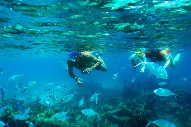 Catamaran Booze Cruise And Snorkeling Punta Cana - Adults Only - Quick Take: what matters most on the Going Party Boat