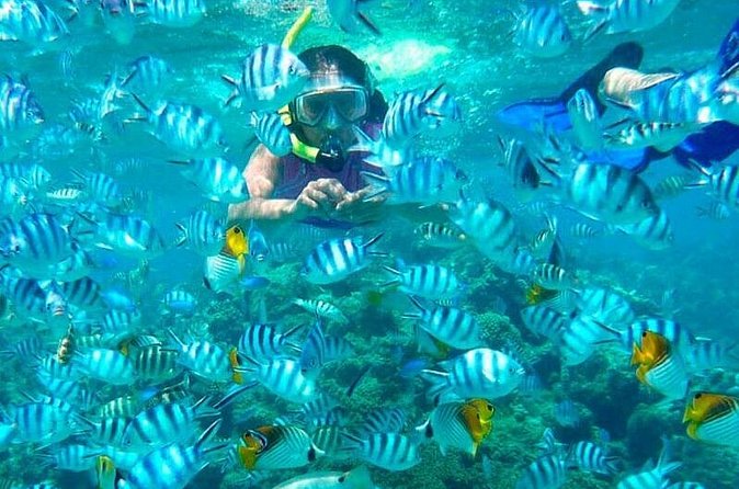 Catamaran Catalina Island Day Trip with Lunch - The return ride to La Romana and back to your hotel