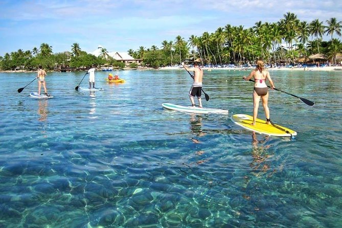 Catamaran Catalina Island Day Trip with Lunch - Who this Catalina day trip is best for
