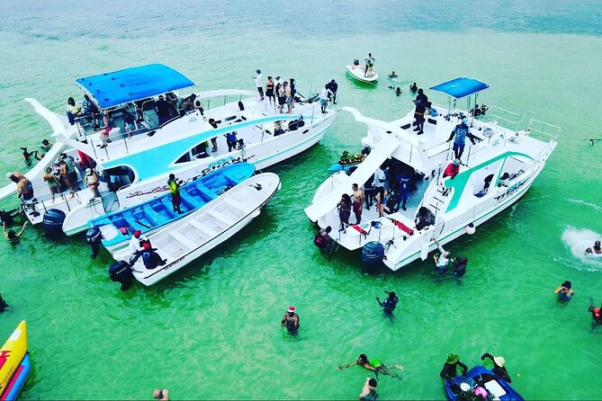 Catamaran party in Punta Cana with open bar, music and more - The 5-Hour Route in Plain English: Dolphins, Coral Snorkel, Natural Pool
