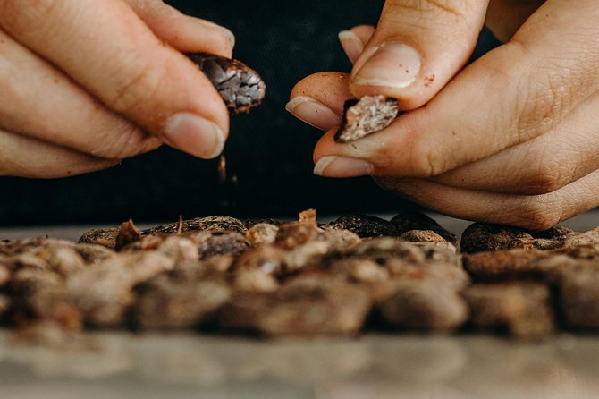 Chocolate Master Class & Taino concept Store - Getting to the experience: free transport plus a welcome drink