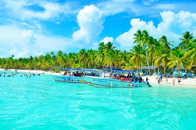 Day Trip to Saona Island with Lunch and Open Bar - Key Points at a Glance