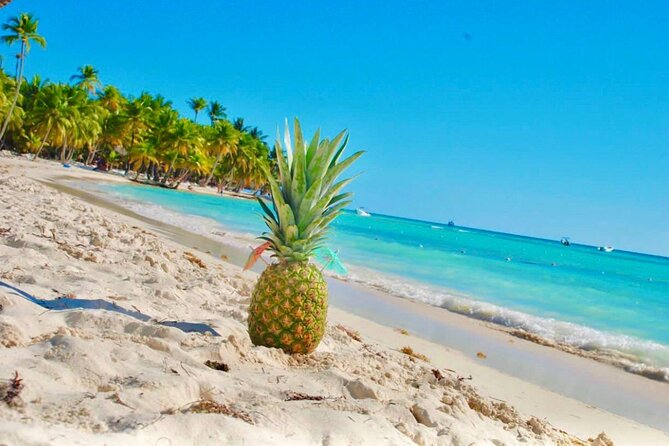 Day Trip to Saona Island with Lunch and Open Bar - Boat Day Logistics: What a 10-Hour Trip Feels Like