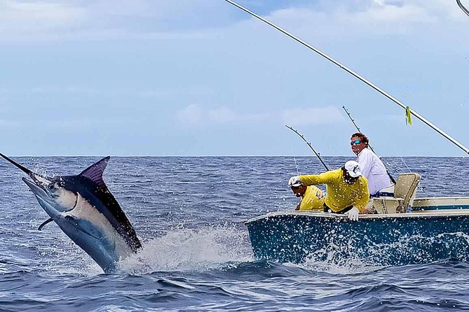 Deep Sea Fishing Half Day - The 7:00 am start and Steffy Tours Operator pickup groove