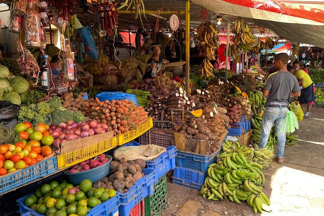 Discover Dominican life - Starting Early in Punta Cana: pickup and a 9-hour flow