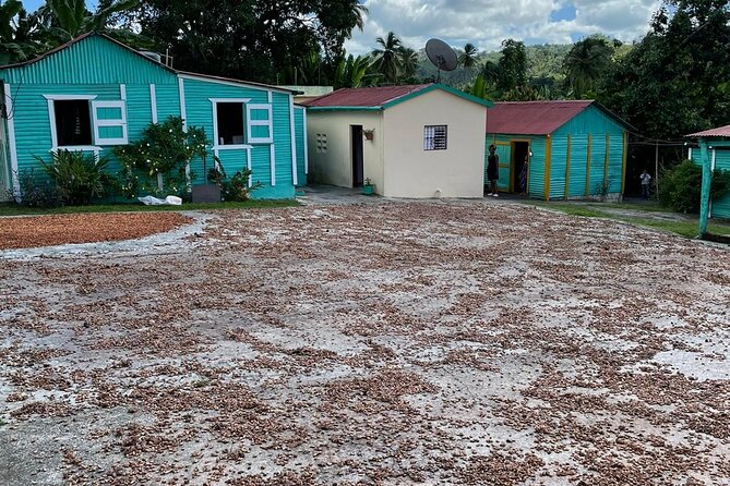 Discover Dominican life - Lunch, drinks, and coffee/tea: staying fueled without hunting for restaurants